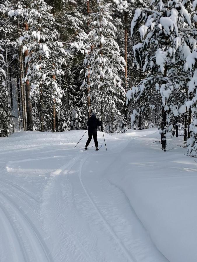 Penzion Nordic Character Vidsel Exteriér fotografie